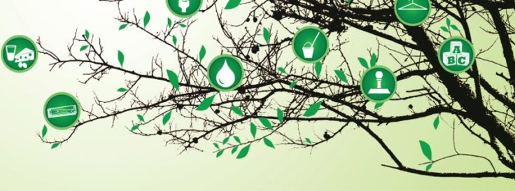 427819_10151478443710221_883969344_n