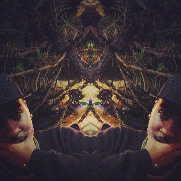 65750_545514465493736_450456889_n