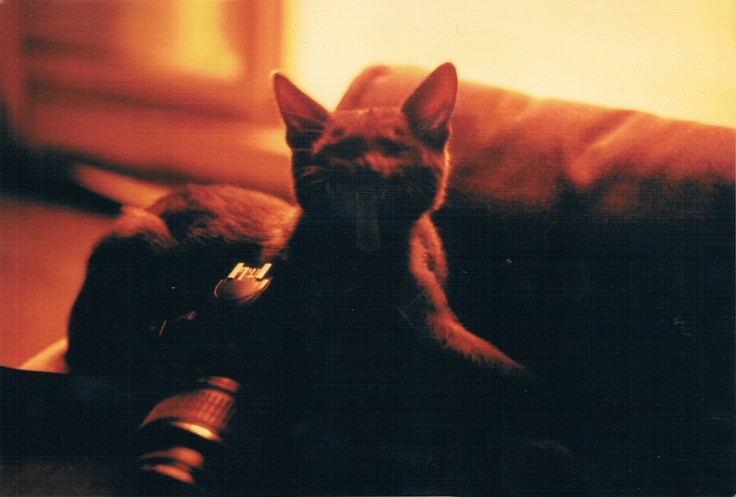 tumblr_mqh48gkpRm1s5r5cro1_1280