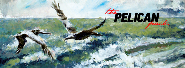 1451484_10151881033620528_407893658_n