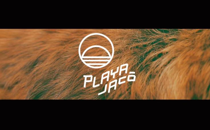 11707641_830321480356368_2253692332277255760_n