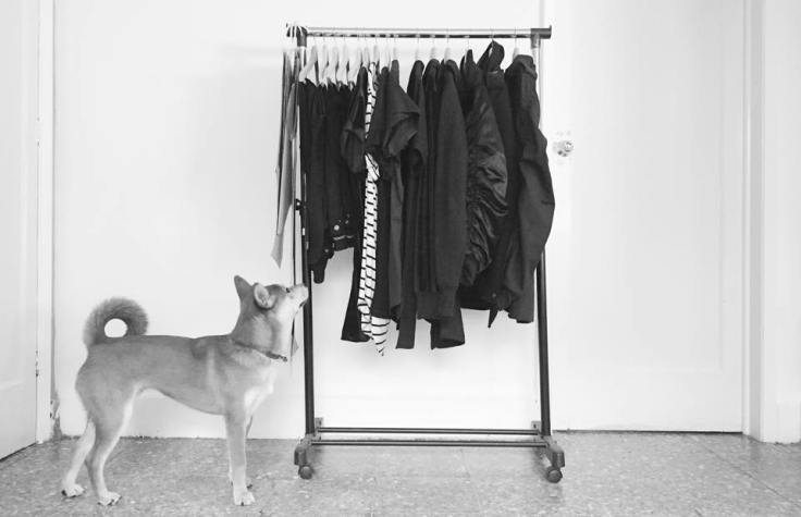 11029943_1038072046227133_6133890427655176326_n