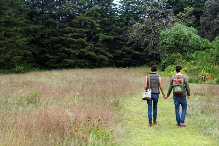 10661625_295959357278158_2554020574948202579_o